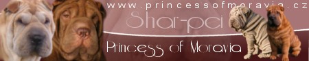 Banner Princess of Moravia